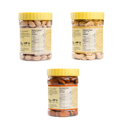 Premium Dry Fruit Hamper (Pack of 3)